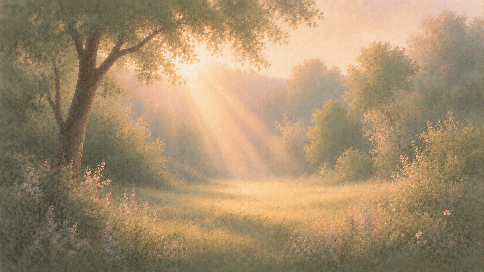 A soft sunbeam lighting a calm clearing, illustrating the Validation skill in DBT